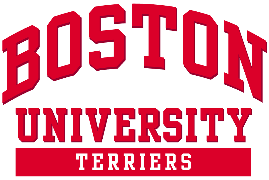 Boston University Terriers 2005-Pres Wordmark Logo v2 diy fabric transfer